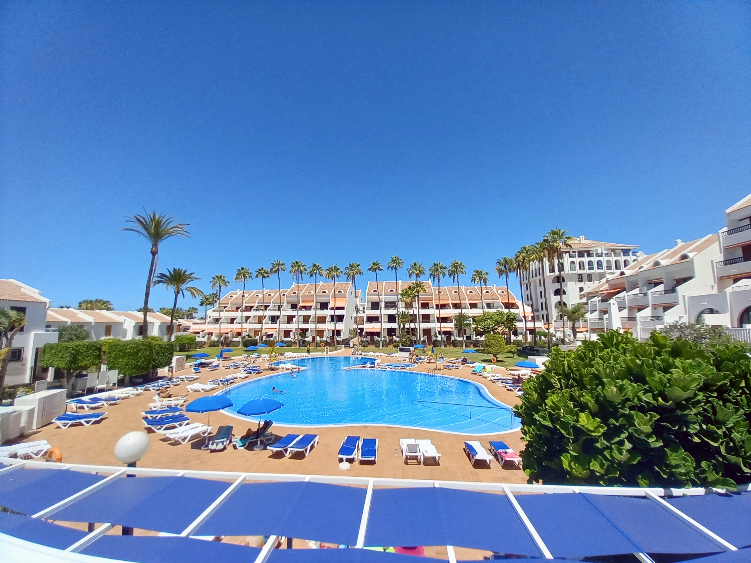 Parque Santiago, las Americas, Sueño Atlántico, Tenerife, estudio