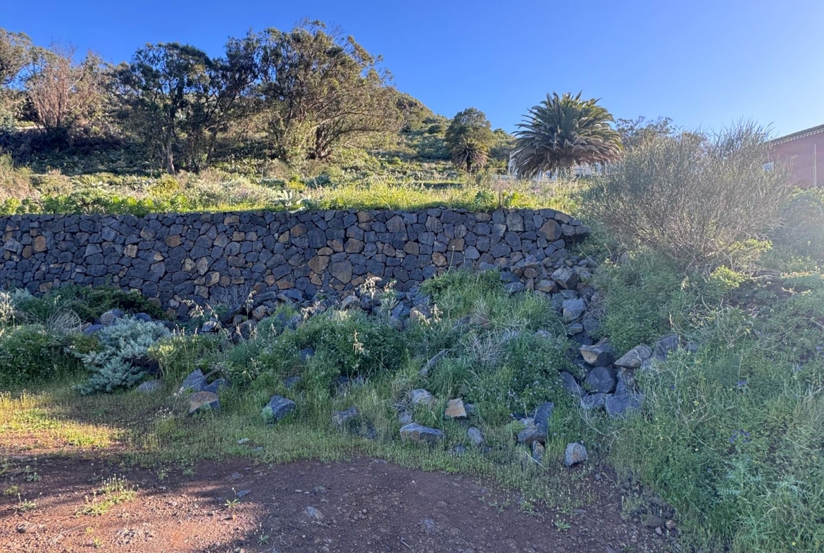 Tagueste, fincas, viviendas, Apartamentostenerife, Sueño Atlántico