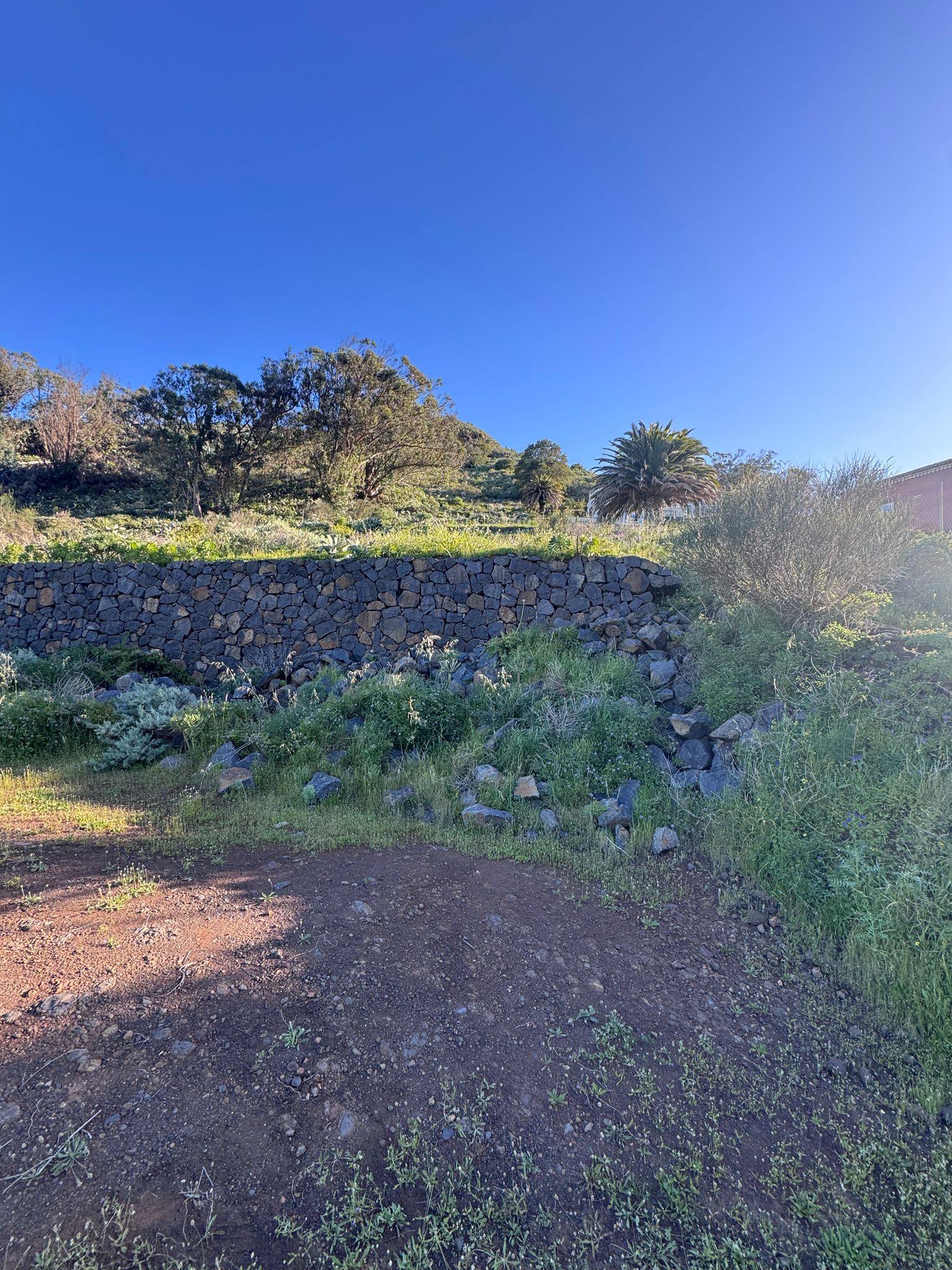 Tagueste, fincas, viviendas, Apartamentostenerife, Sueño Atlántico
