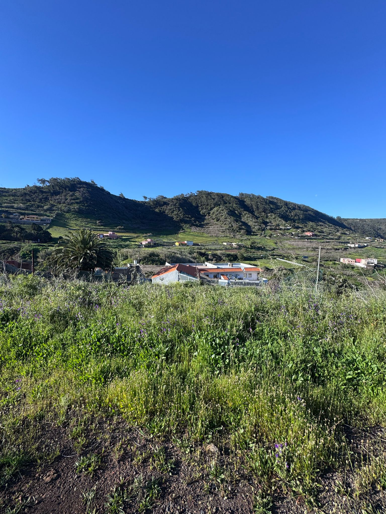 Tagueste, fincas, viviendas, Apartamentostenerife, Sueño Atlántico