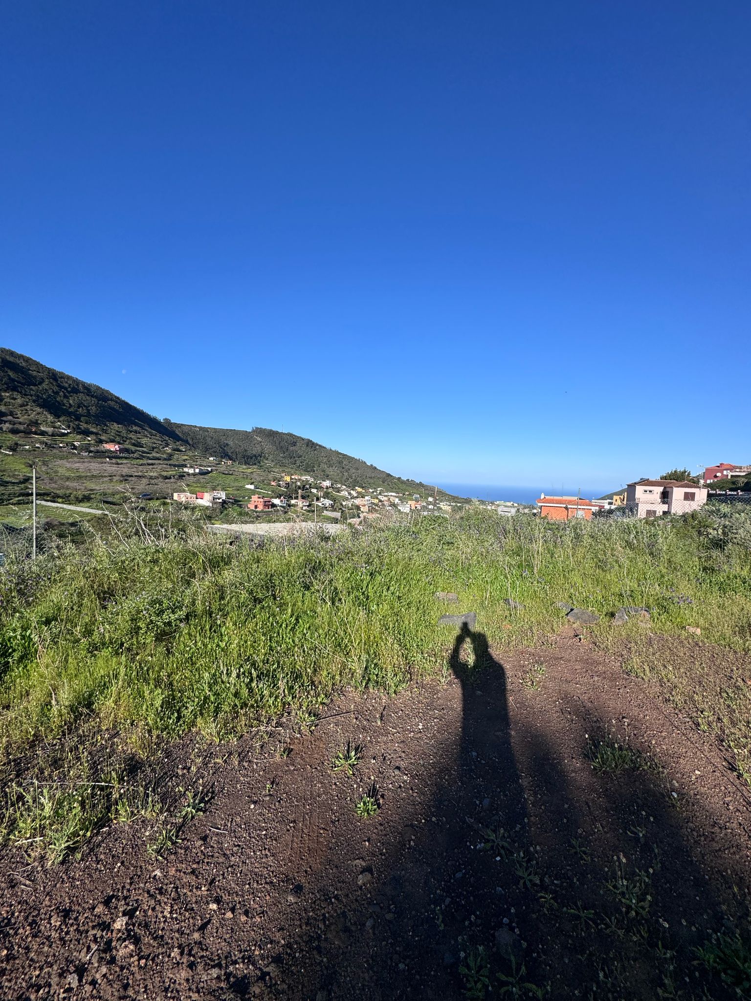 Tagueste, fincas, viviendas, Apartamentostenerife, Sueño Atlántico