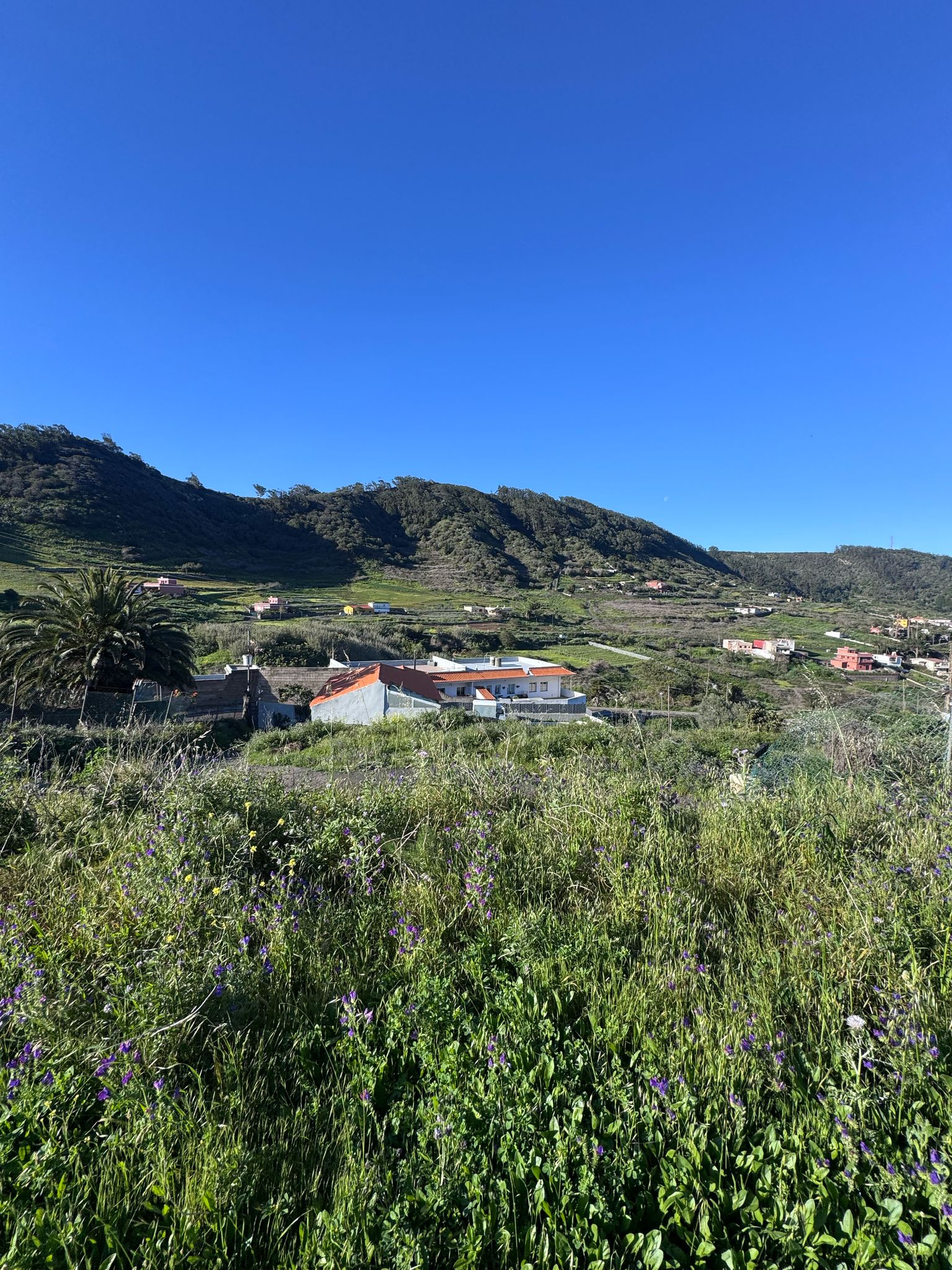 Tagueste, fincas, viviendas, Apartamentostenerife, Sueño Atlántico