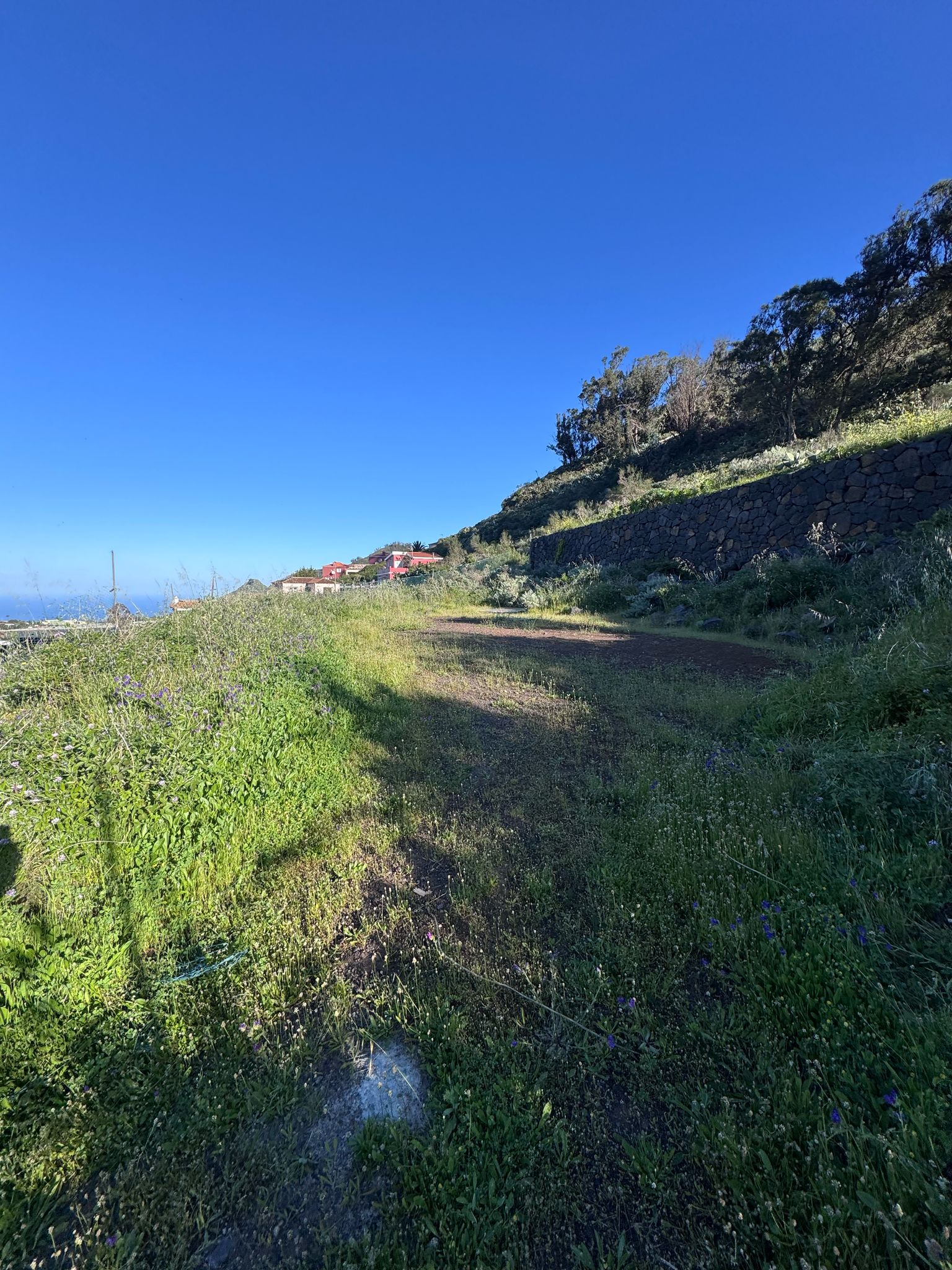 Tagueste, fincas, viviendas, Apartamentostenerife, Sueño Atlántico