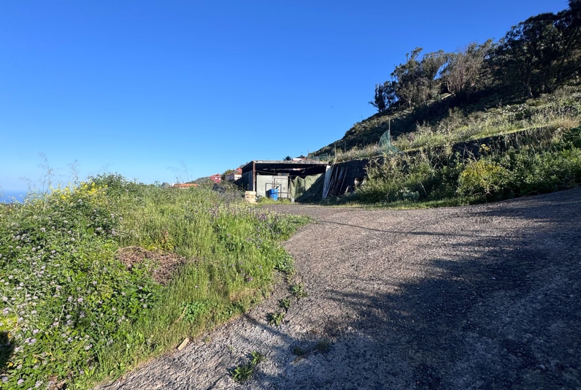 Tagueste, fincas, viviendas, Apartamentostenerife, Sueño Atlántico
