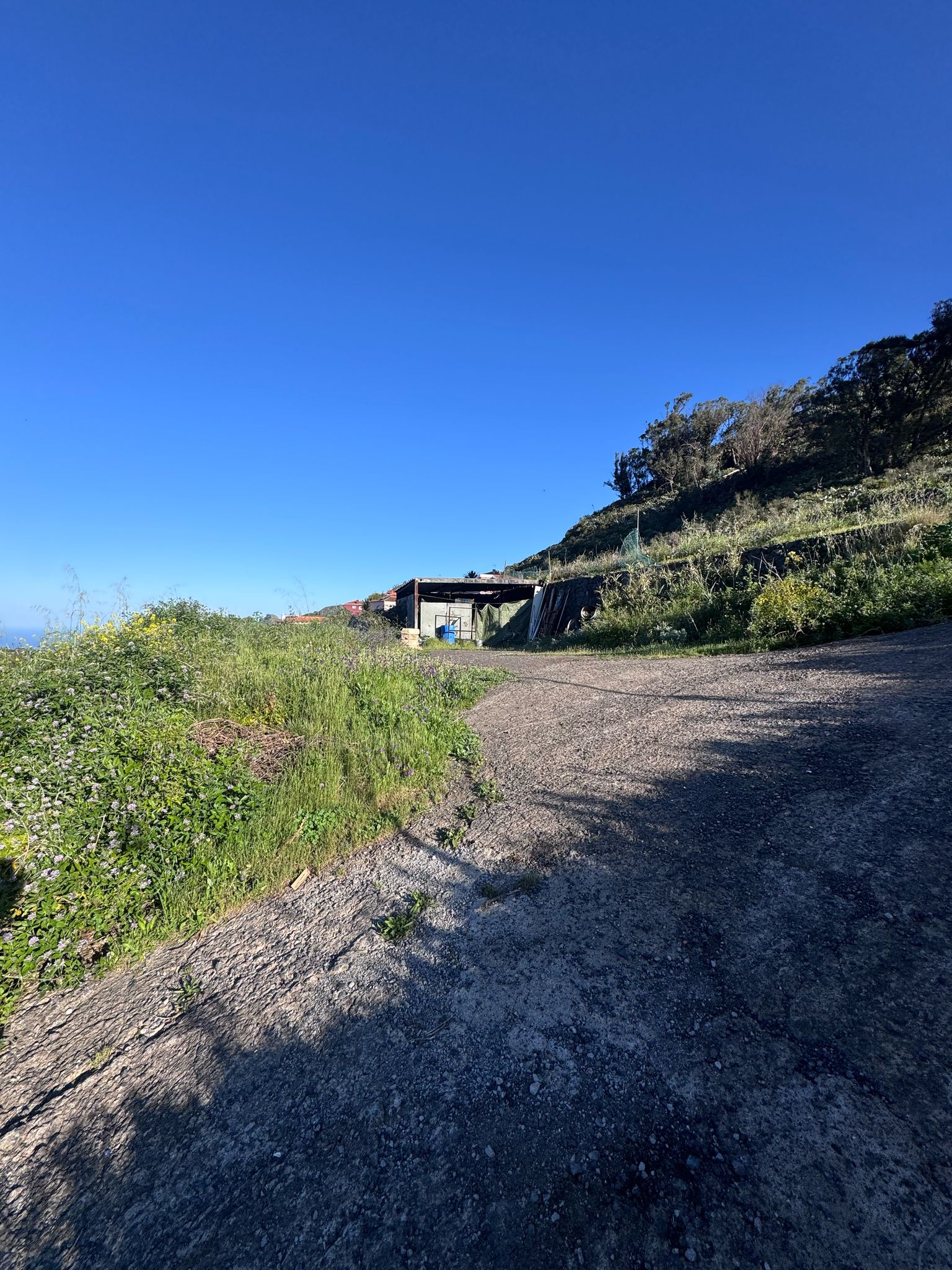 Tagueste, fincas, viviendas, Apartamentostenerife, Sueño Atlántico