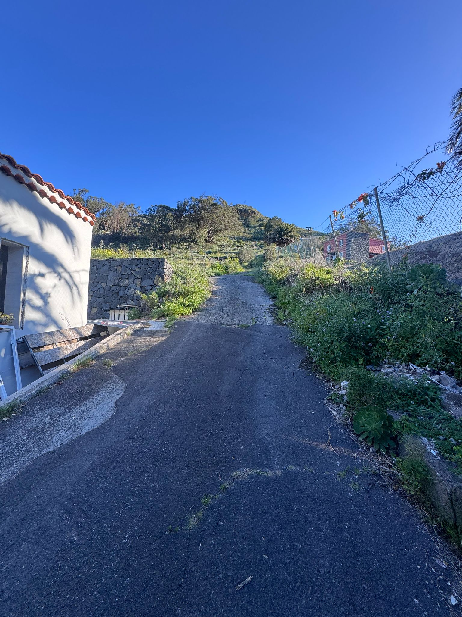 Tagueste, fincas, viviendas, Apartamentostenerife, Sueño Atlántico