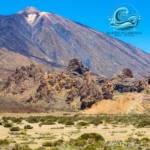 Apartamentostenerife, Sueño Átlantico, blog, news, historia, cultura
